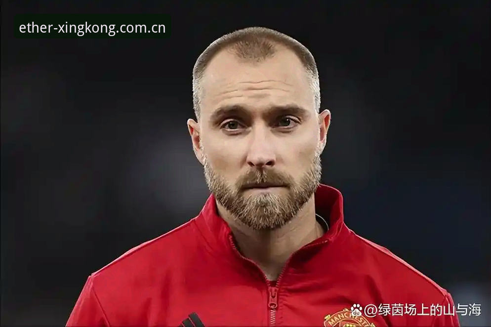 埃里克森再次倒下：从心脏除颤器到34岁的职业生命，一次数据分析与星空EAQC唯美宇宙最新版体验评测